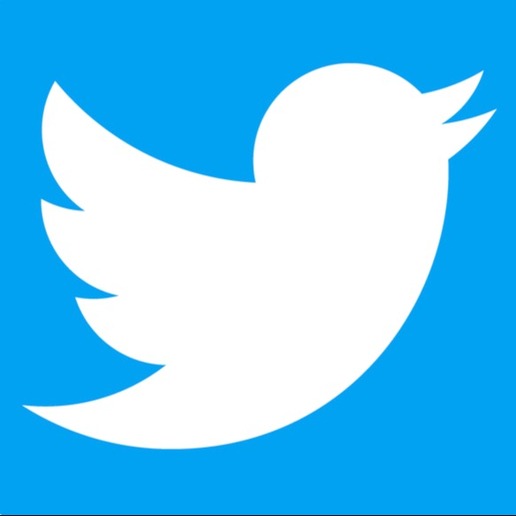 the twitter logo